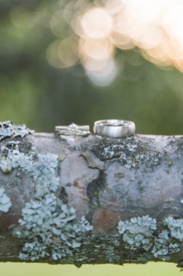 Photography Rings